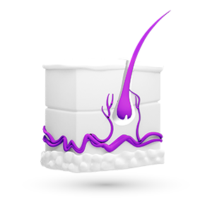 Dermatologia dermatitis atópica antiseptico logo