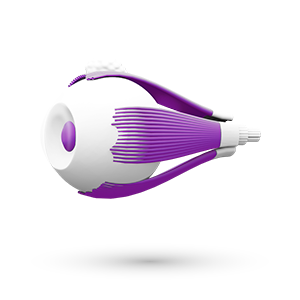 oftalmologia glaucoma xalatan xalacom latanoprost timolol logo