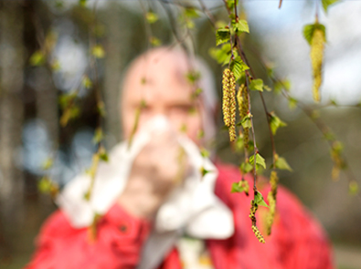 Respiratorio rinistis alergica que es